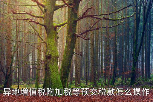 跨區(qū)稅源登記 如何繳納附加稅，異地增值稅附加稅等預交稅款怎么操作