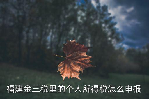福建企業(yè)個稅如何申報系統(tǒng)，福建省2019年企業(yè)所得稅年報 在哪里報
