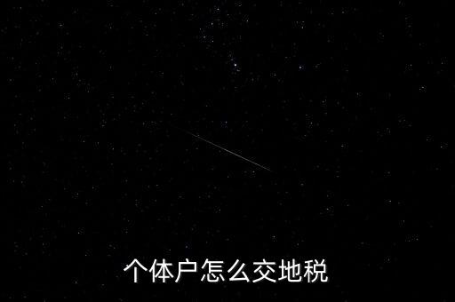 個(gè)體工商如何注冊地稅，剛拿到個(gè)體工商戶營業(yè)執(zhí)照如何辦理國地稅證