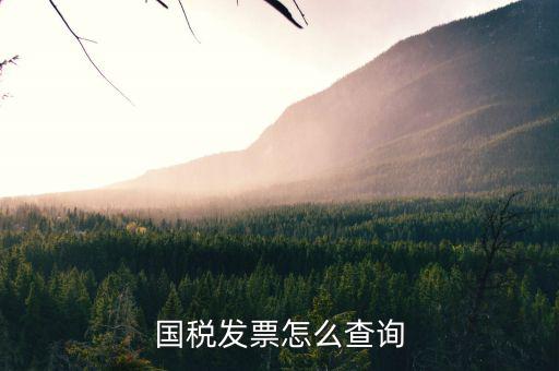 河北省的發(fā)票如何查詢，我的發(fā)票在河北地稅網(wǎng)上可以查到信息都沒有問題但是河北地稅