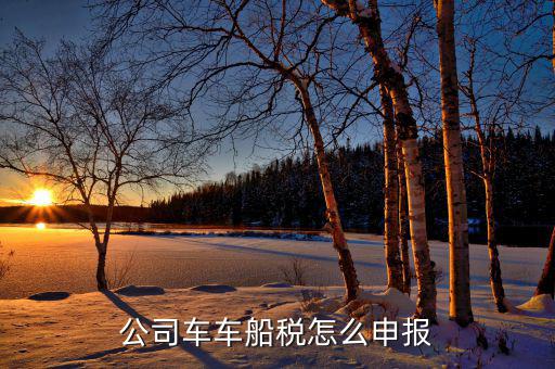 單位汽車的車船稅如何申報，公司車車船稅怎么申報