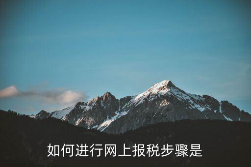 如何推行網(wǎng)上辦稅，如何辦理網(wǎng)上納稅