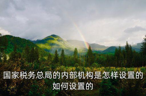 市稅務(wù)局如何設(shè)立區(qū)稅務(wù)機(jī)構(gòu)，稅務(wù)部門(mén)的部門(mén)設(shè)置