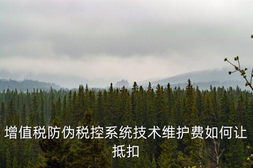 稅控維護(hù)費(fèi)如何抵稅，稅控維護(hù)費(fèi)抵扣問題
