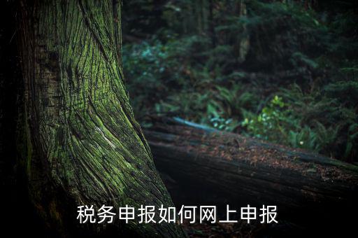 稅務(wù)申報(bào)如何網(wǎng)上申報(bào)