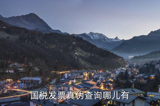 如何在國稅局官網查詢發(fā)票真假，國家稅務官網怎么查詢增值稅發(fā)票真?zhèn)?/></a></span><span id=
