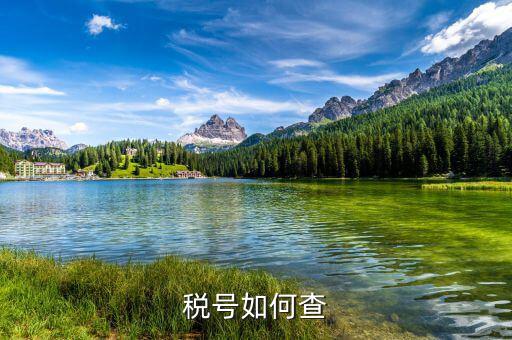 國(guó)際企業(yè)稅號(hào)如何查詢(xún)，老外要公司稅號(hào)他怎么查呢