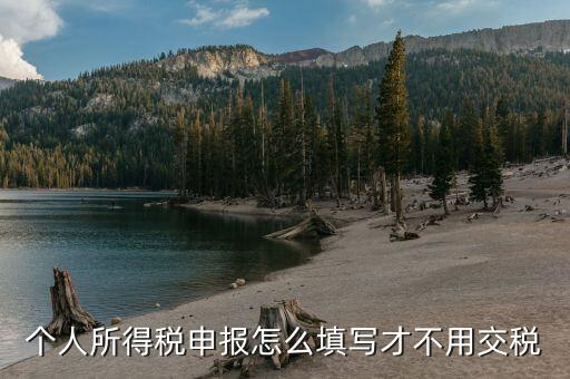 福建自然人個(gè)稅如何申報(bào)才不用繳稅，個(gè)稅專項(xiàng)附加扣除怎樣填寫才不繳稅