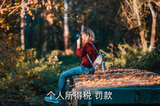 個稅罰款如何繳，個人所得稅 罰款
