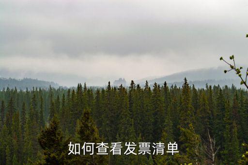 如何查詢發(fā)票明細(xì)表，如何查看發(fā)票清單