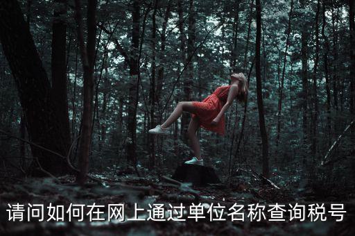 如何通過公司名稱查稅號(hào)，知道公司名字怎么查稅號(hào)嗎