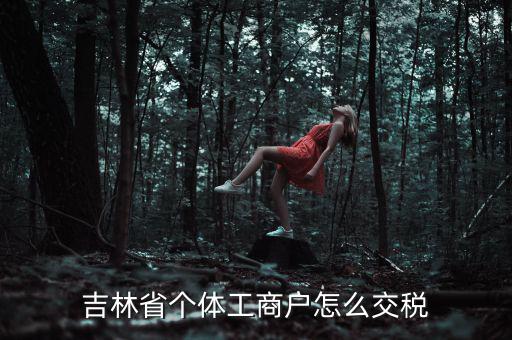 吉林個人所得稅如何申報，個人所得稅申報問題吉林省