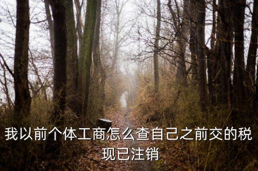如何查詢稅務(wù)注銷，我以前個體工商怎么查自己之前交的稅 現(xiàn)已注銷