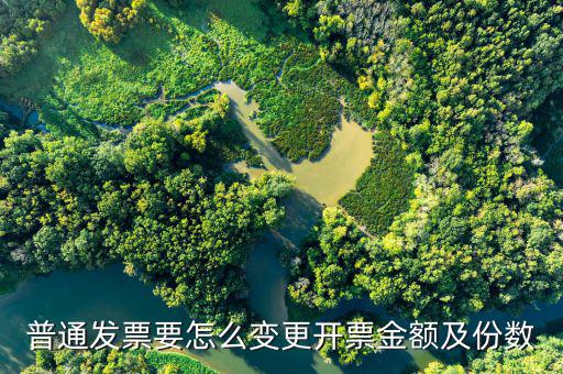 如何修改電子發(fā)票金額，開增值稅發(fā)票金額填錯還未打印怎么修改