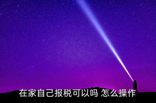 如何自行申報納稅，在家自己報稅可以嗎 怎么操作