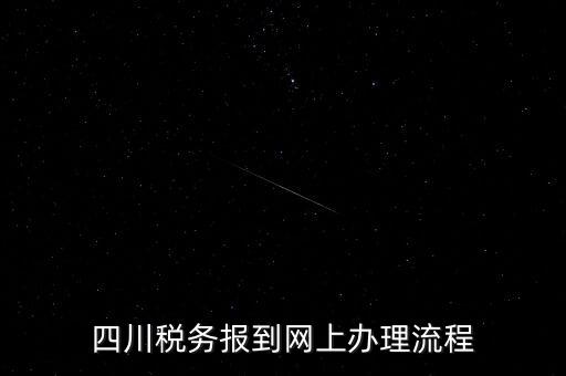 四川企業(yè)地稅如何網(wǎng)上申報(bào)系統(tǒng)，稅務(wù)申報(bào)如何網(wǎng)上申報(bào)