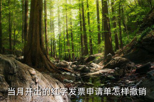 如何撤銷紅字發(fā)票申請(qǐng)書，紅字申請(qǐng)單如何作廢