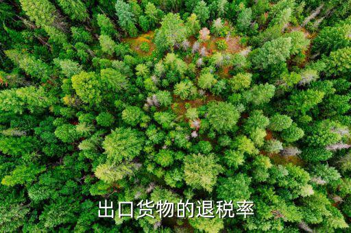如何查看出口退稅產(chǎn)品退稅率，浙江省電子稅務(wù)局怎么查出口退稅率