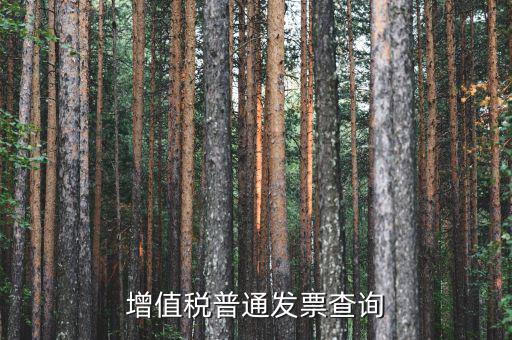 如何查詢增值稅普通發(fā)票，增值稅普通發(fā)票查詢