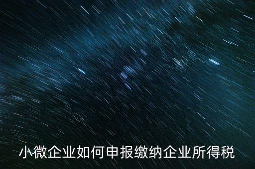 小企業(yè)如何繳納所得稅，小規(guī)模企業(yè)所得稅怎么交納