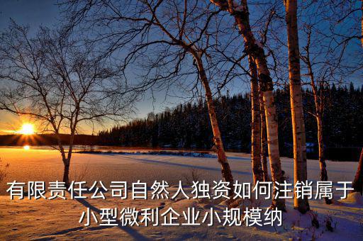 如何注銷小微企業(yè)所得稅，小微企業(yè)工商稅務(wù)注銷手續(xù)