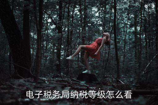 如何查詢納稅人納稅等級，電子稅務(wù)局納稅等級怎么看