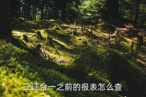 如何查三證合一之前的國稅數(shù)據(jù)，三證合一之前的報表怎么查