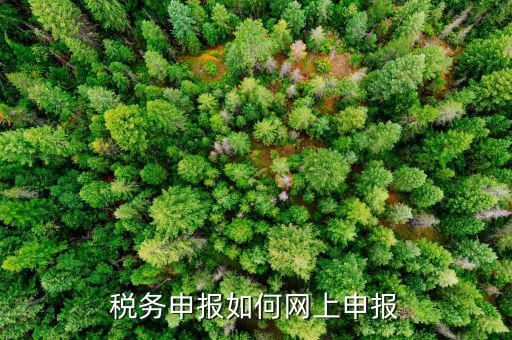北京國稅地稅如何網(wǎng)上申報，稅務申報如何網(wǎng)上申報