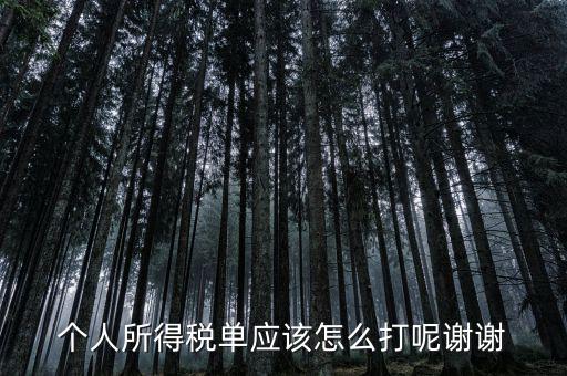 如何打印個人所得稅清單，請問如何打印個人個人所得稅繳款單據(jù)