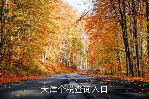 天津個稅如何查詢密碼，天津個稅查詢入口