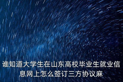 如何網(wǎng)上簽三方協(xié)議，網(wǎng)上簽三方協(xié)議的問題