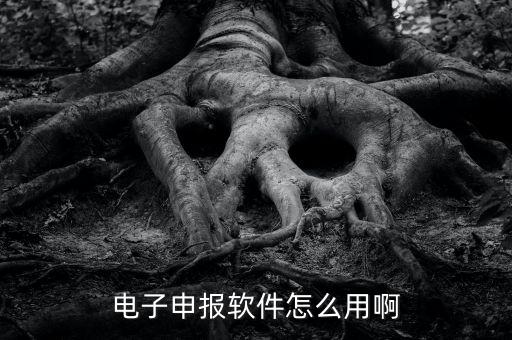濟(jì)南電子稅務(wù)如何使用，網(wǎng)上辦稅平臺手機(jī)app怎么操作