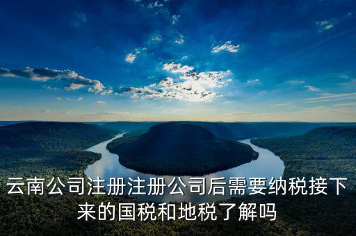 云南國稅如何申報，云南公司注冊注冊公司后需要納稅接下來的國稅和地稅了解嗎
