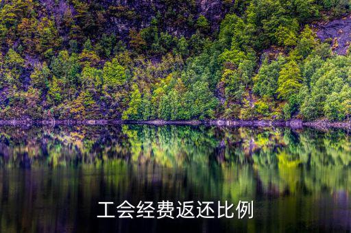 稅務(wù)局代收工會經(jīng)費(fèi)如何返還，工會經(jīng)費(fèi)交稅務(wù)局怎么返還