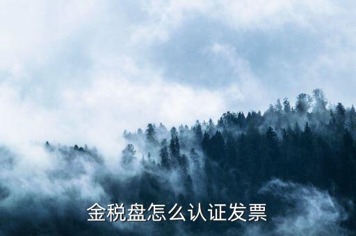 如何用金稅盤認證發(fā)票，金稅盤怎么認證發(fā)票