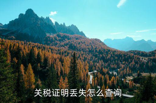 如何查納稅證明，個人的納稅證明網(wǎng)上能查嗎