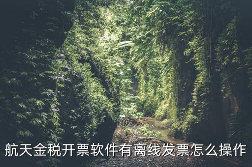 如何設(shè)置離線(xiàn)開(kāi)票，金稅系統(tǒng)開(kāi)票機(jī)怎樣恢復(fù)離線(xiàn)時(shí)限