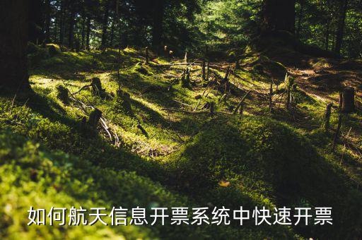 航天信息如何開(kāi)票，怎么在航天信息開(kāi)票軟件開(kāi)紅字發(fā)票