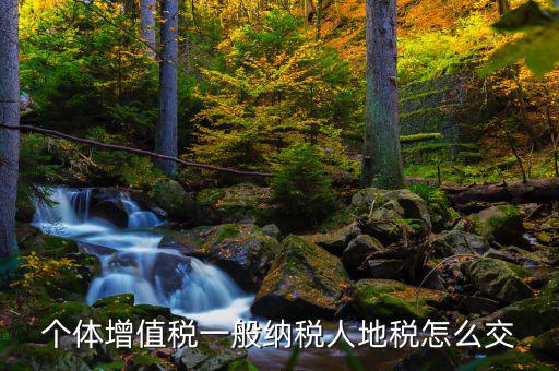 地稅票如何繳納增值稅，請(qǐng)問土地轉(zhuǎn)讓土地增值稅怎么交
