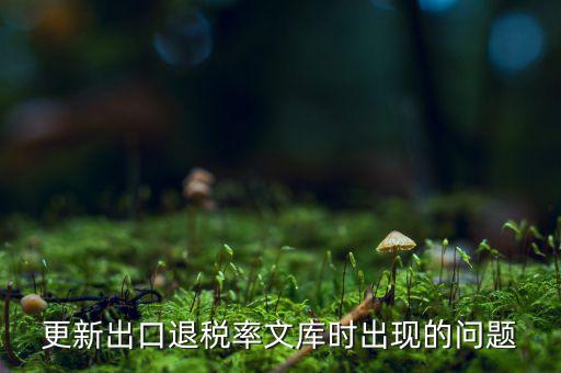 出口退稅文庫如何更新，請問各位出口退稅系統(tǒng)里的代碼庫怎么更新啊怎么老沒反應的呢