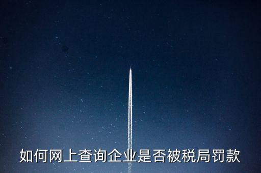 如何查稅務(wù)處罰，公司的稅務(wù)罰款去哪里查詢急
