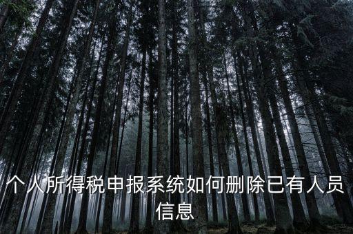金三系統(tǒng)個(gè)稅申報(bào)人員如何刪除，如何刪掉個(gè)人所得稅人員信息