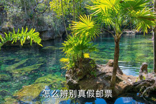 如何查油票的真?zhèn)?，到底怎樣才能辨別鑒定郵票的真假呢