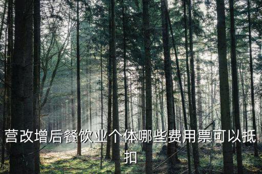 餐飲業(yè)如何抵扣，餐飲業(yè)無法向個(gè)人消費(fèi)者開具增值稅專用發(fā)票那怎么抵扣進(jìn)項(xiàng)稅