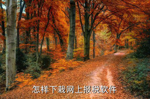 如何下載報稅軟件下載，怎么下載地稅納稅申報軟件