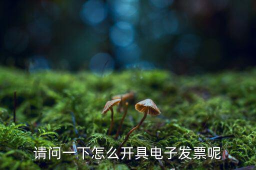 上海如何申領電子發(fā)票，請問一下怎么開具電子發(fā)票呢