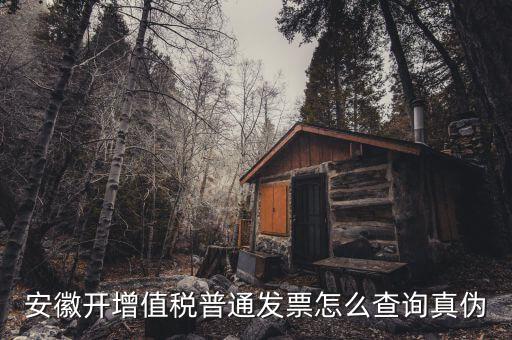 安徽省如何查稅票真假，安徽開增值稅普通發(fā)票怎么查詢真?zhèn)?/></a></span><span id=
