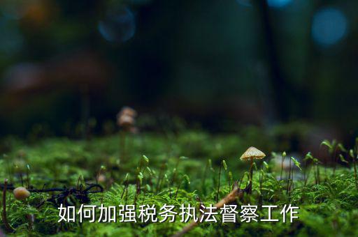 如何加強(qiáng)稅務(wù)系統(tǒng)巡視巡察，如何加強(qiáng)稅務(wù)執(zhí)法督察工作