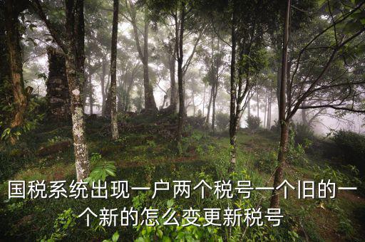 國稅系統(tǒng)出現(xiàn)一戶兩個(gè)稅號一個(gè)舊的一個(gè)新的怎么變更新稅號