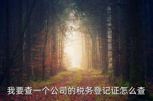 如何查企業(yè)的稅務(wù)登記證號(hào)，公司的稅務(wù)登記證號(hào)怎么查詢